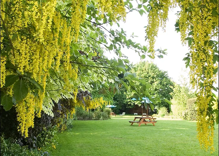 Headfort Arms מלון